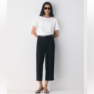 Wilfred Aritzia Essential Pant Cropped in Crepette